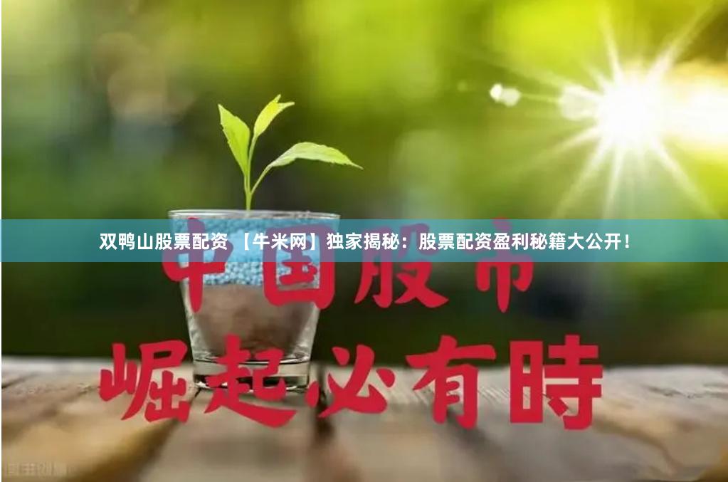 双鸭山股票配资 【牛米网】独家揭秘：股票配资盈利秘籍大公开！